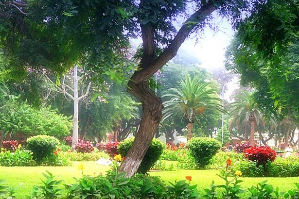 Parque Roosevelt Parque-En-Lima Agenda-Cultural