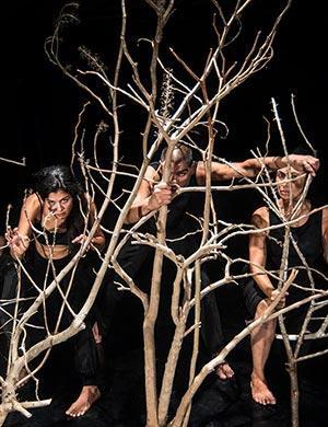 Cuento acabado - Danza