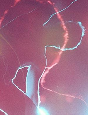 Monográfico de Javier Vaquero