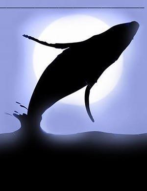 Ballenas en el desierto