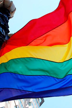 bandera queer
