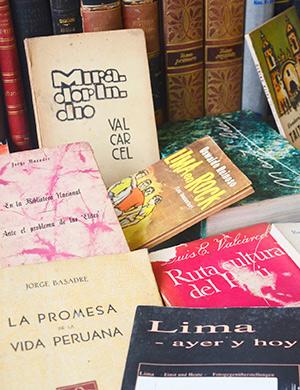 El ensayo literario en América Latina