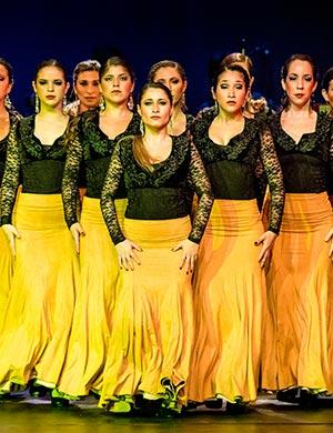 Mujer de Flamenco