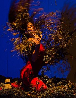 Carmen el arquetipo del toro