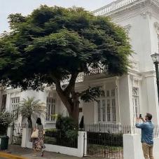 Casona Trazzo Lima Barranco Casona Trazzo Lima Barranco